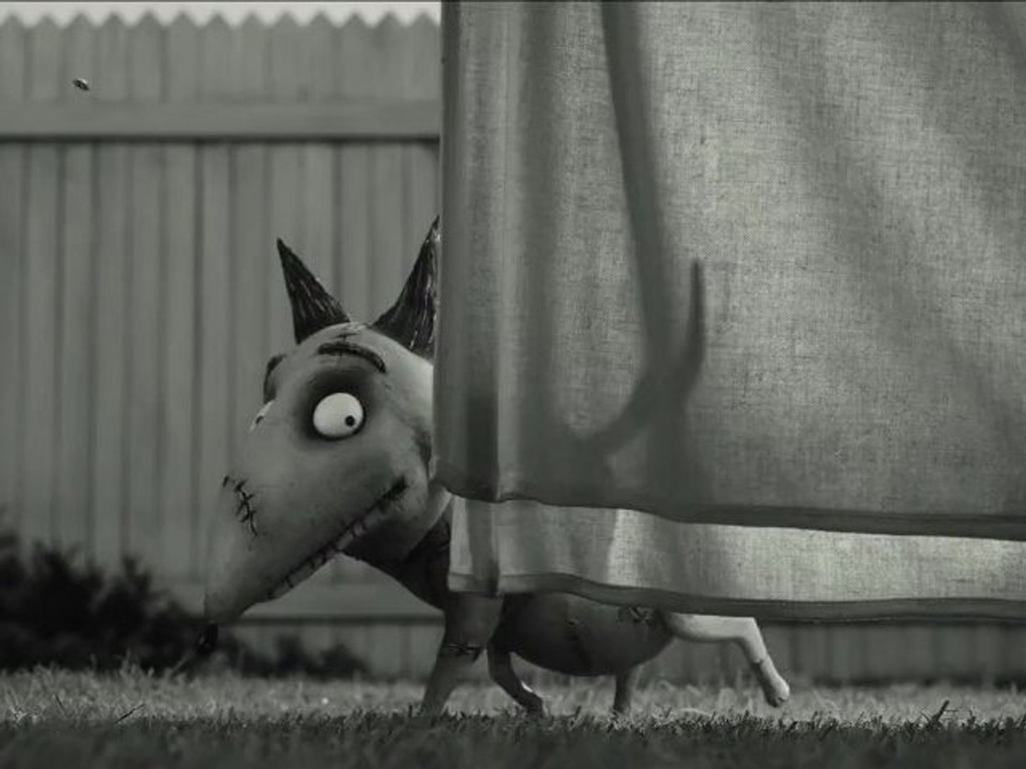 Frankenweenie : trailer du nouveau Tim Burton - Vidéo Dailymotion