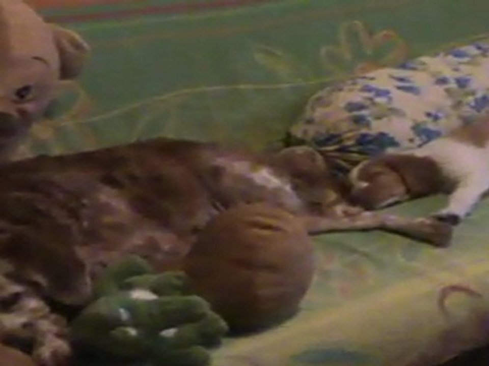 vidéo 03