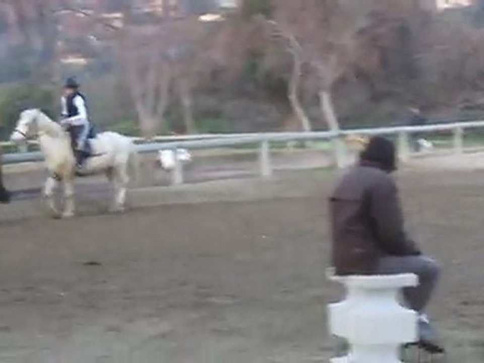 jeudi1mars2012 , Moi sur British et Avalone sur Pixor