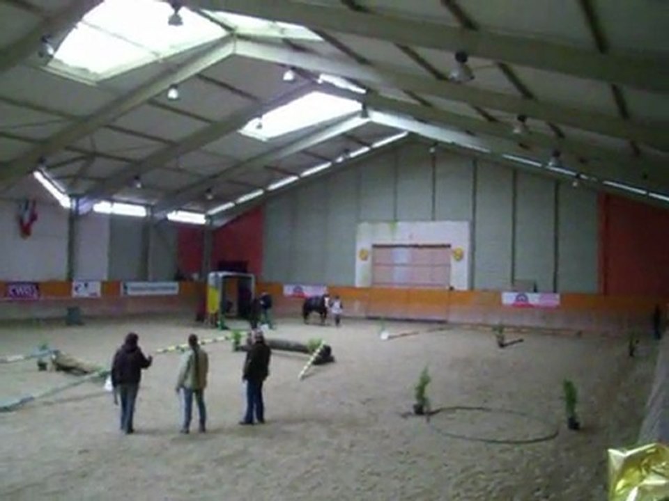 Drelu PTV