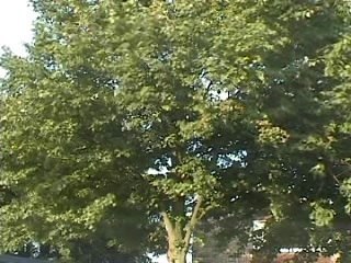 Bringing Home The Booze