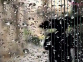 Yağmurdan sonra - Denizhan ALKAN