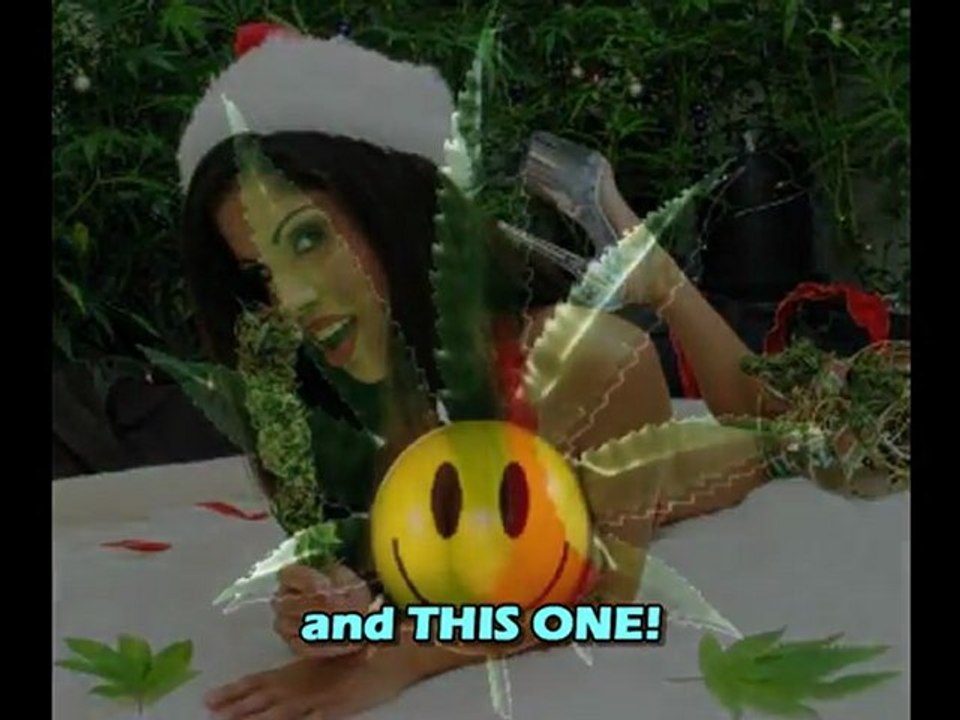 Where to Find Marijuana Seeds 8