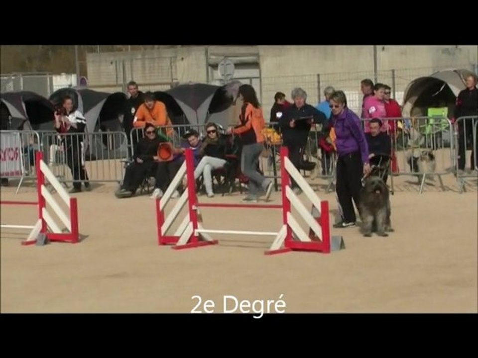 Buck Agility La Bouilladisse 04/03/12