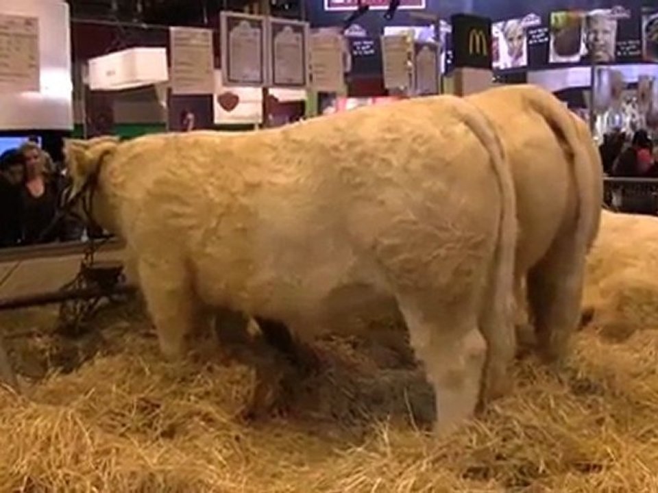 SIA 2012 : Drôles de questions