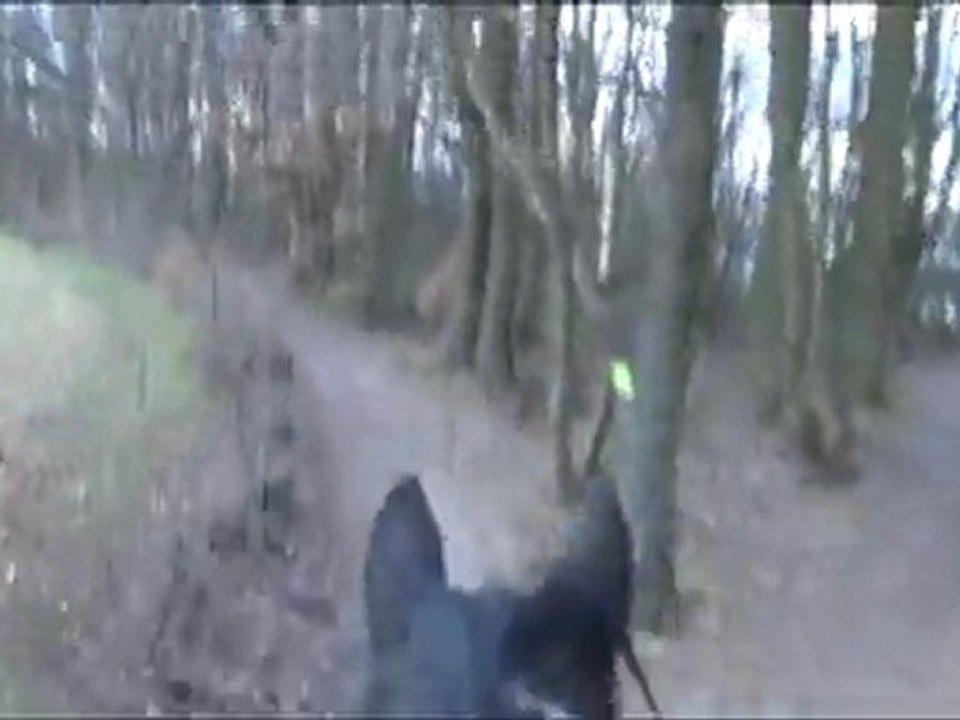 trot embarqué