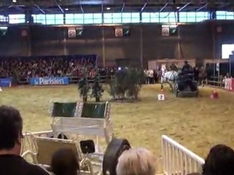 SIA 2012 : 2ème jour du concours d'attelage des chevaux de trait
