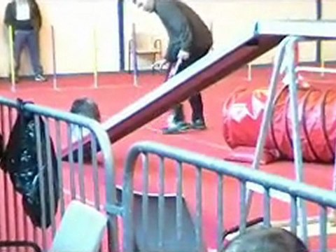 Denver concours agility mars 2012