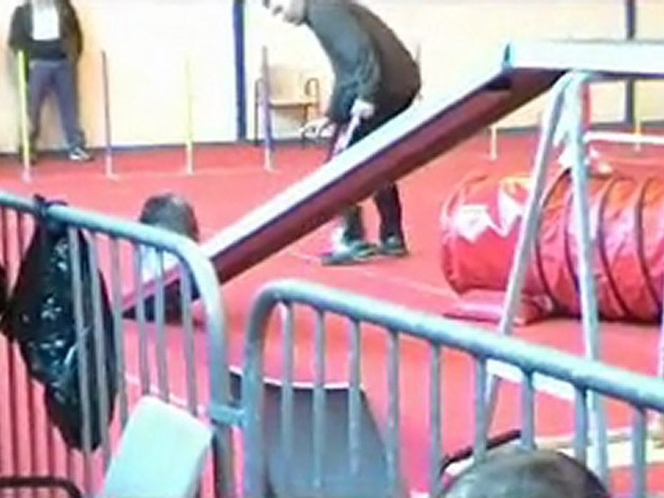 Denver concours agility mars 2012