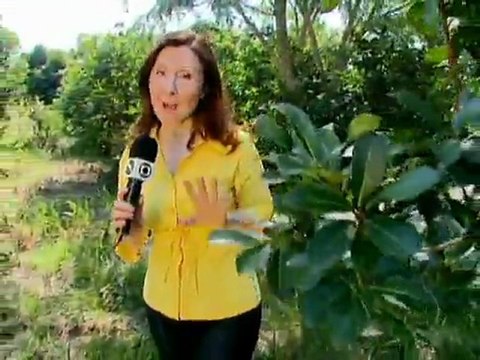 Globo Repórter - Cura pela terra - 24.02.2012 - Parte 01