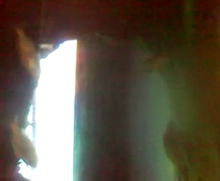 web sitesi tasarımı