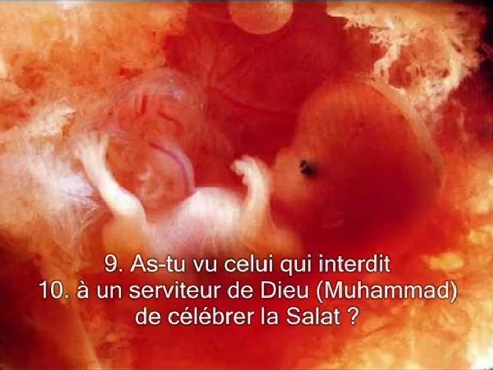 Sourate 96. L'adherence (Al-Alaq)   Récitation et Traduction en Français