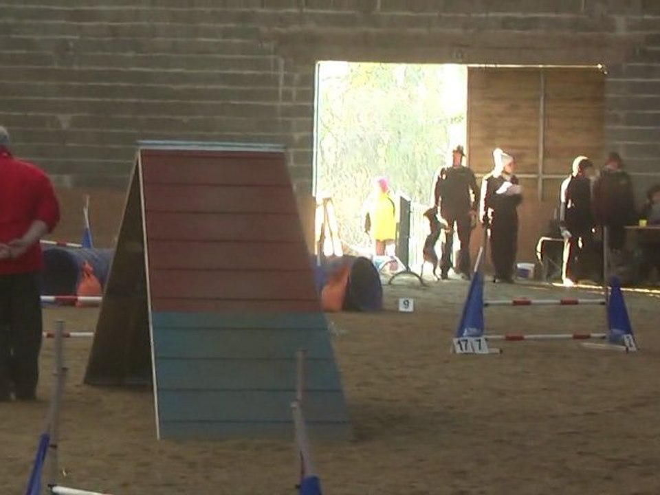 concours agility tichemont 2012