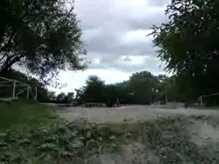 660 raptor vs 400 ex honda