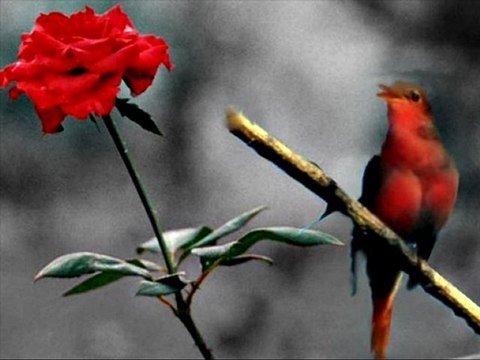 Abdullah Işılak - O Günden Beri