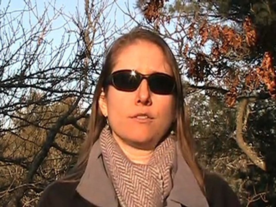 MLSP Wake Up Call Mary Horsman Reviews MLSP Wake Up Call with Michelle Pescosolido