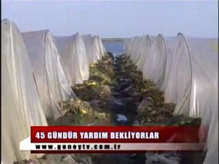 Tarsus’ta Ekili Alanlar Ve Seralar Sular Altında Kaldı