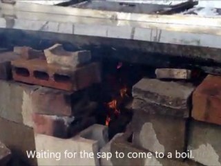 Forest to Fork - Making Maple Syrup