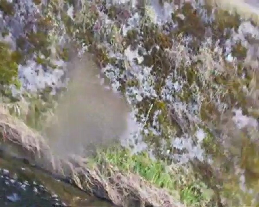 Prise de vue subaquatique à Barbeauland