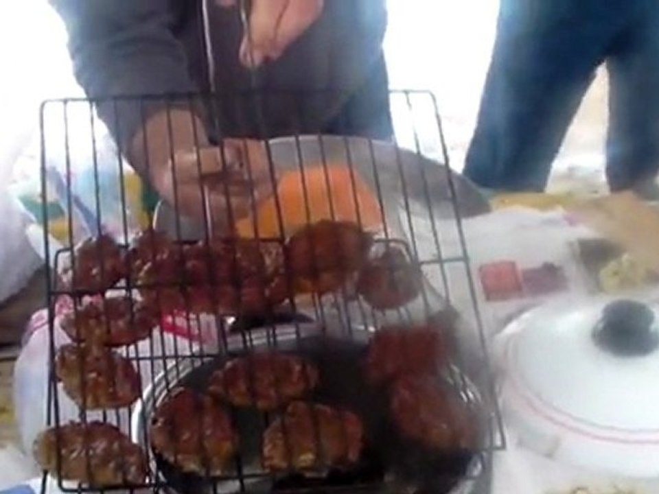 mangal halleri