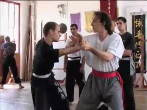 tahta adam wooden dummy formu büyük usta yipman