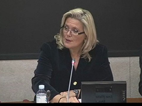 Commission des affaires culturelles : Examen du rapport de la mission d'information sur les Mécénat culturel Partie 1