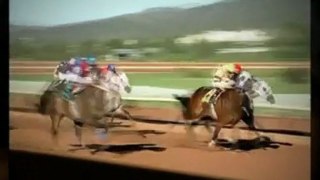 Watch - Horse Racing tv Schedule 2012 - Standard ...