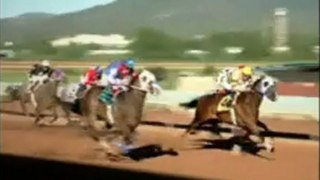 Watch - Horse Racing tv Live Feed - La Barrique Fine ...