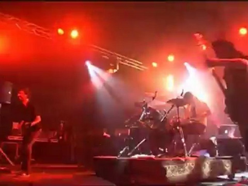 Printemps de Bourges 2011 - Heartbeat Parade