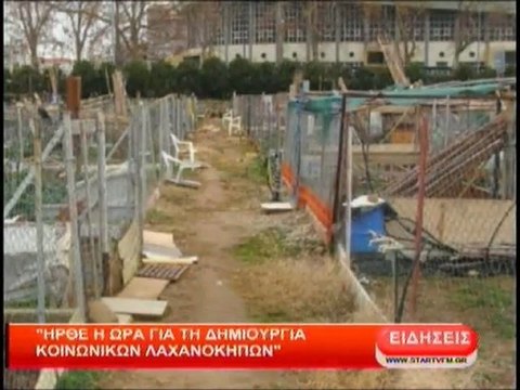 Ήρθε η ώρα για τη δημιουργία κοινωνικών λαχανόκηπων