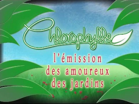 Chlorophylle épisode 2 sur Télé Doller