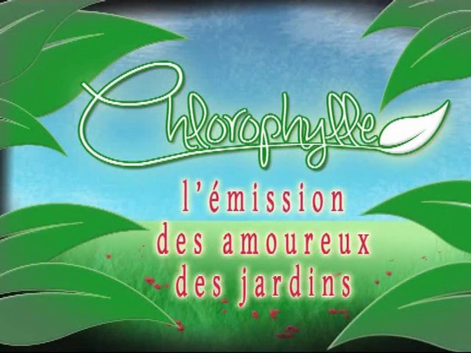 Chlorophylle épisode 2 sur Télé Doller