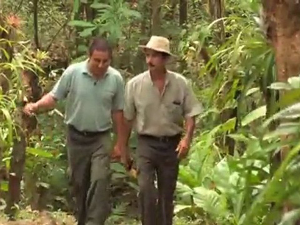 Global Questionnaire: Costa Rica | Global 3000