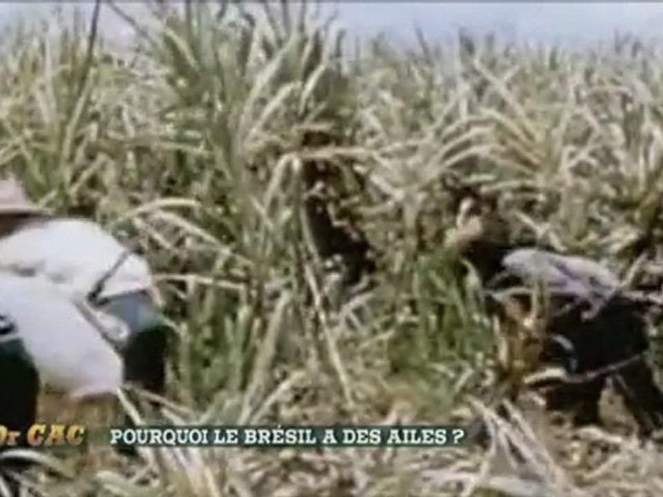Dr CAC - Pourquoi le Brésil a des ailes ?