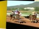 Watch - Tampa Bay Derby at Tampa Bay Downs on 3/10 - ...