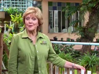 From the Streets to the Classroom  - CBN.com