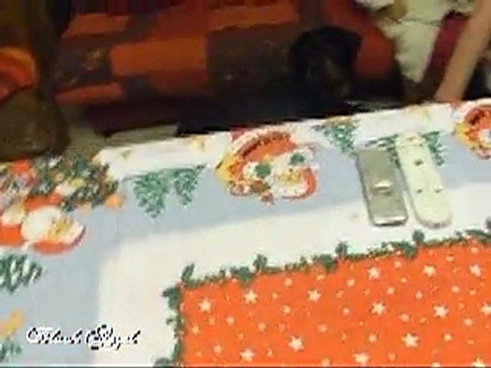 Noel 2009