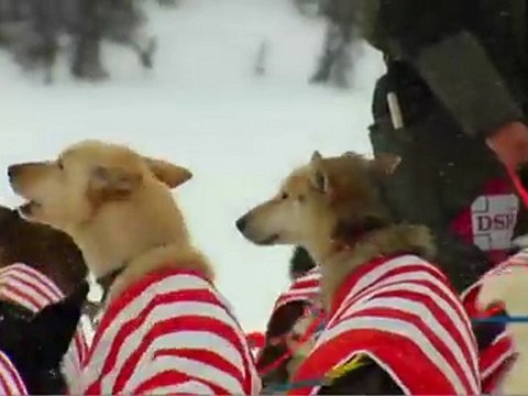 Iditarod 2012-Hugh-Neff-Out-of-Rainy - Forum Chiens de traineau