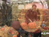 Pumpkin Carving Tips and Techniques