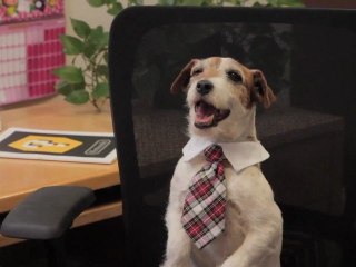 Uggie de The Artist dans sa première pub pour Nintendogs + Cats