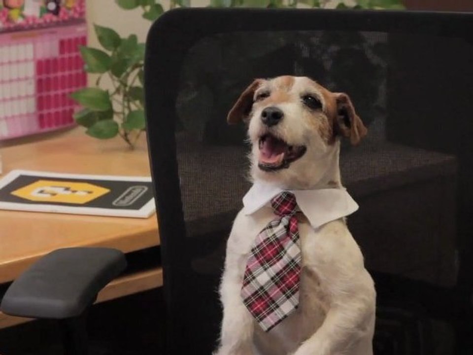 Uggie de The Artist dans sa première pub pour Nintendogs + Cats