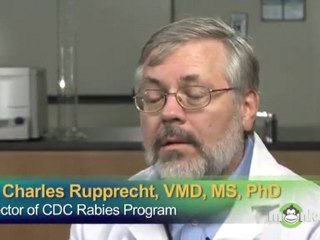 Understanding Rabies 🧬