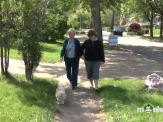 Dealing with Elderly Cognitive Issues