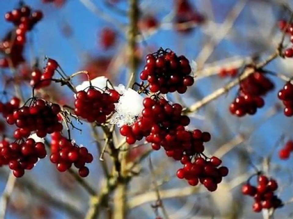 Winter-Jura-versie 06_03
