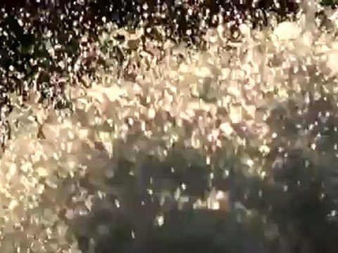 Josh Twelker Steeze Or Hammers