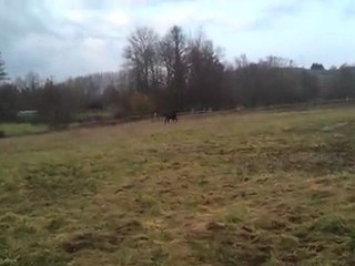 elbrouzia2012-03-06-16-44-29