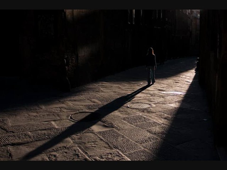 Nycology   Shadow