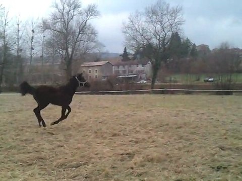 video-2012-03-06-16-46-36