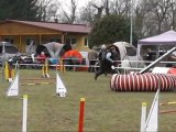 Dixie GPF concours agility AC Boxer 04/03/2012