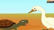 Panchatantra Tales - The Talkative Tortoise.mp4